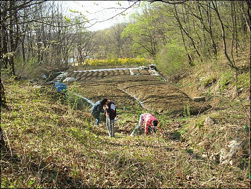 산 입구에서 가재 잡는 처녀총각 